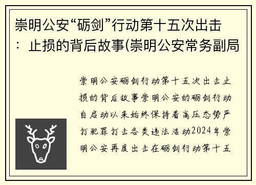 崇明公安“砺剑”行动第十五次出击：止损的背后故事(崇明公安常务副局长)